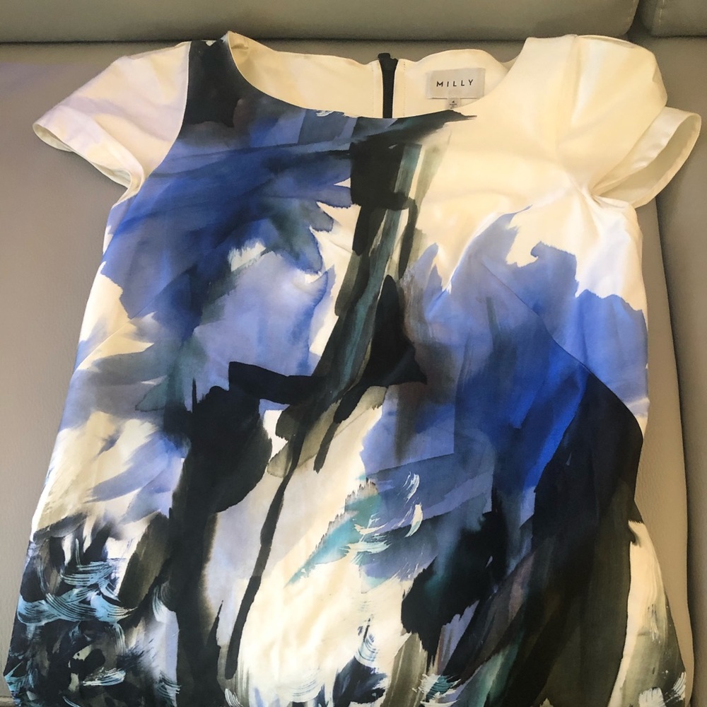 Beautiful Milly Floral print dress